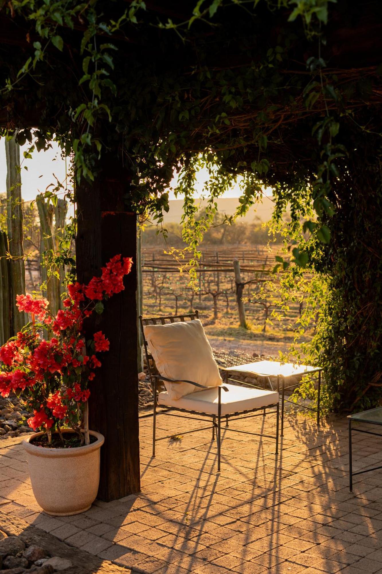 Hotel Casa De Quino Viborillas Экстерьер фото